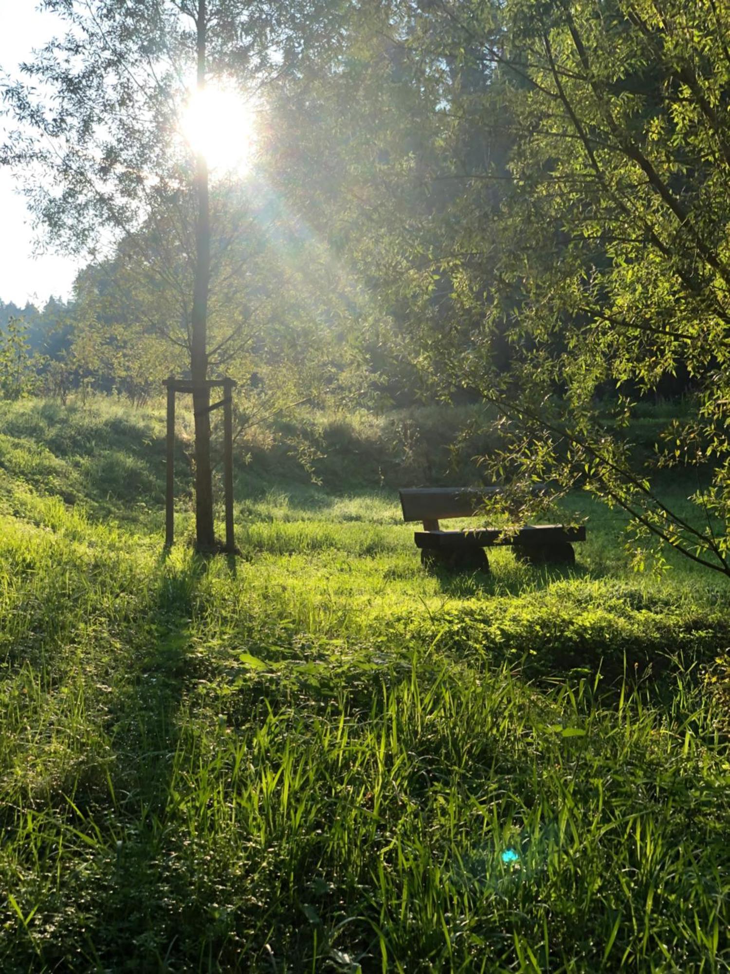 Waldhotel Linzmuehle Kahla  Exteriör bild