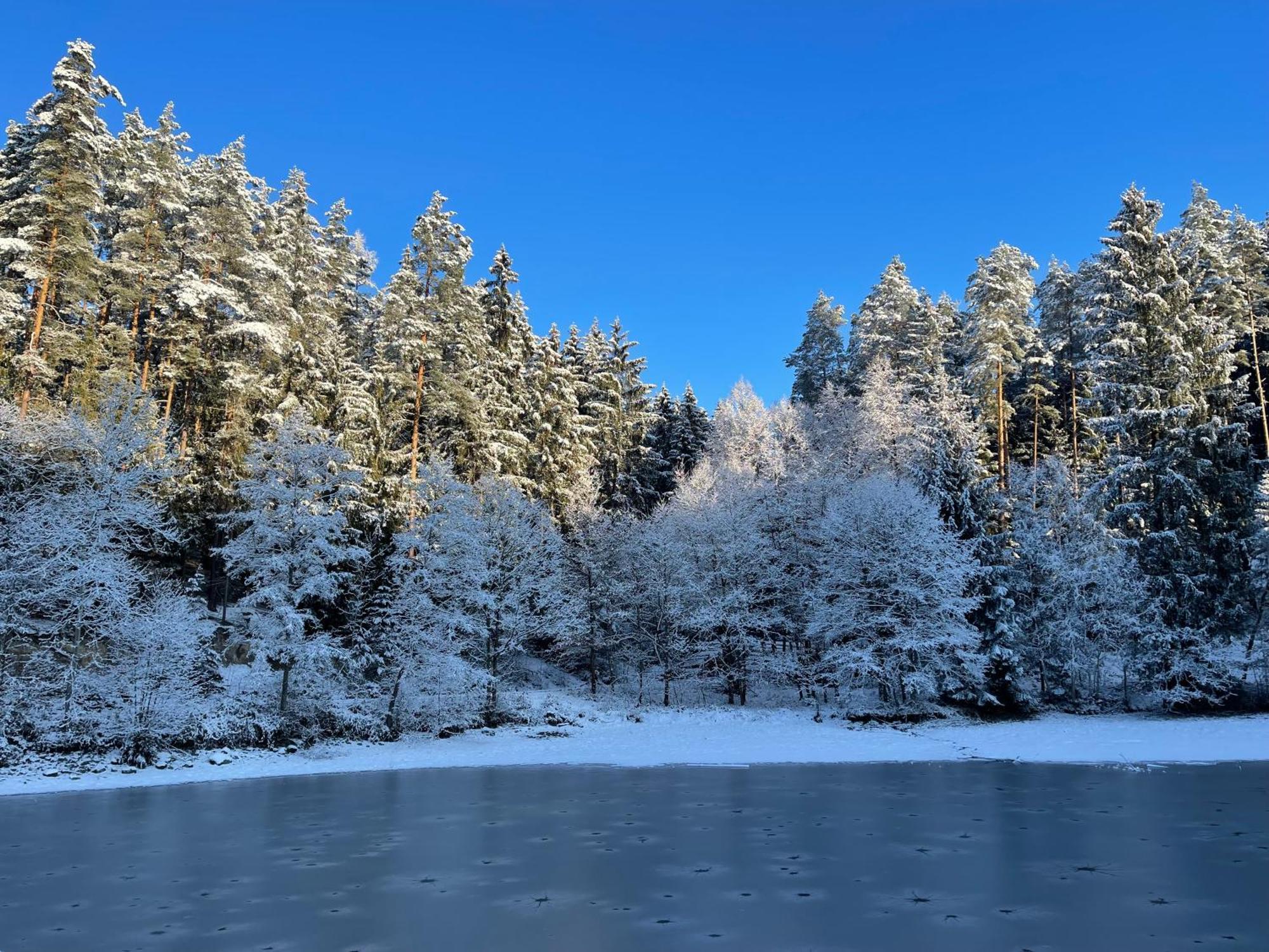 Waldhotel Linzmuehle Kahla  Exteriör bild