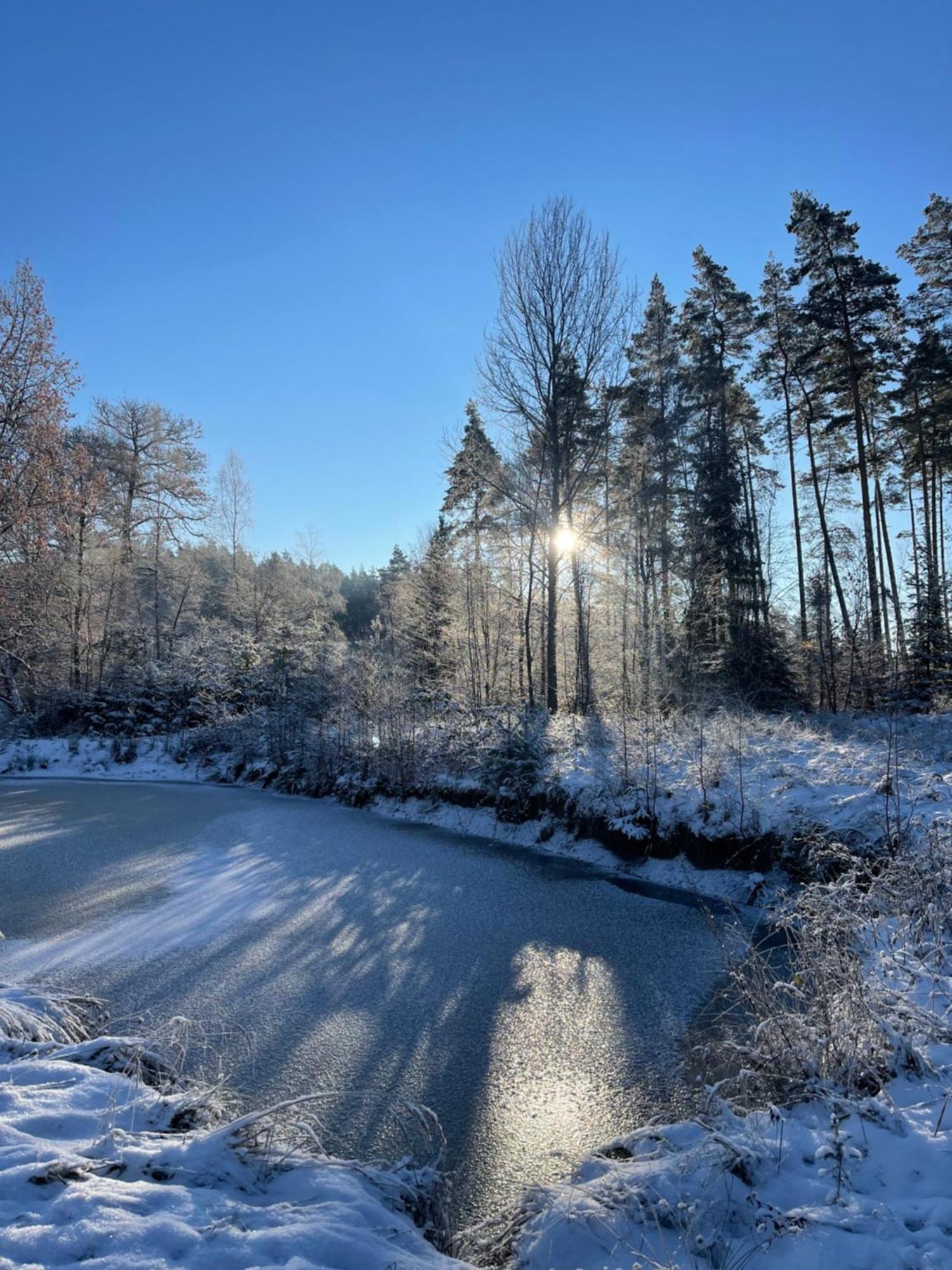 Waldhotel Linzmuehle Kahla  Exteriör bild