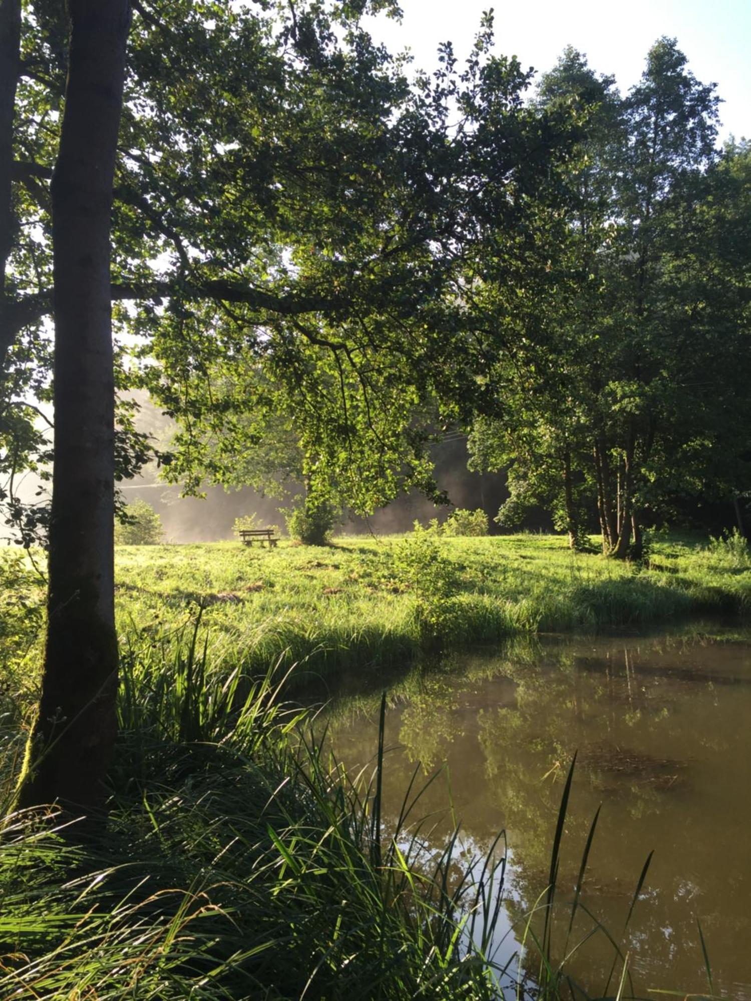 Waldhotel Linzmuehle Kahla  Exteriör bild