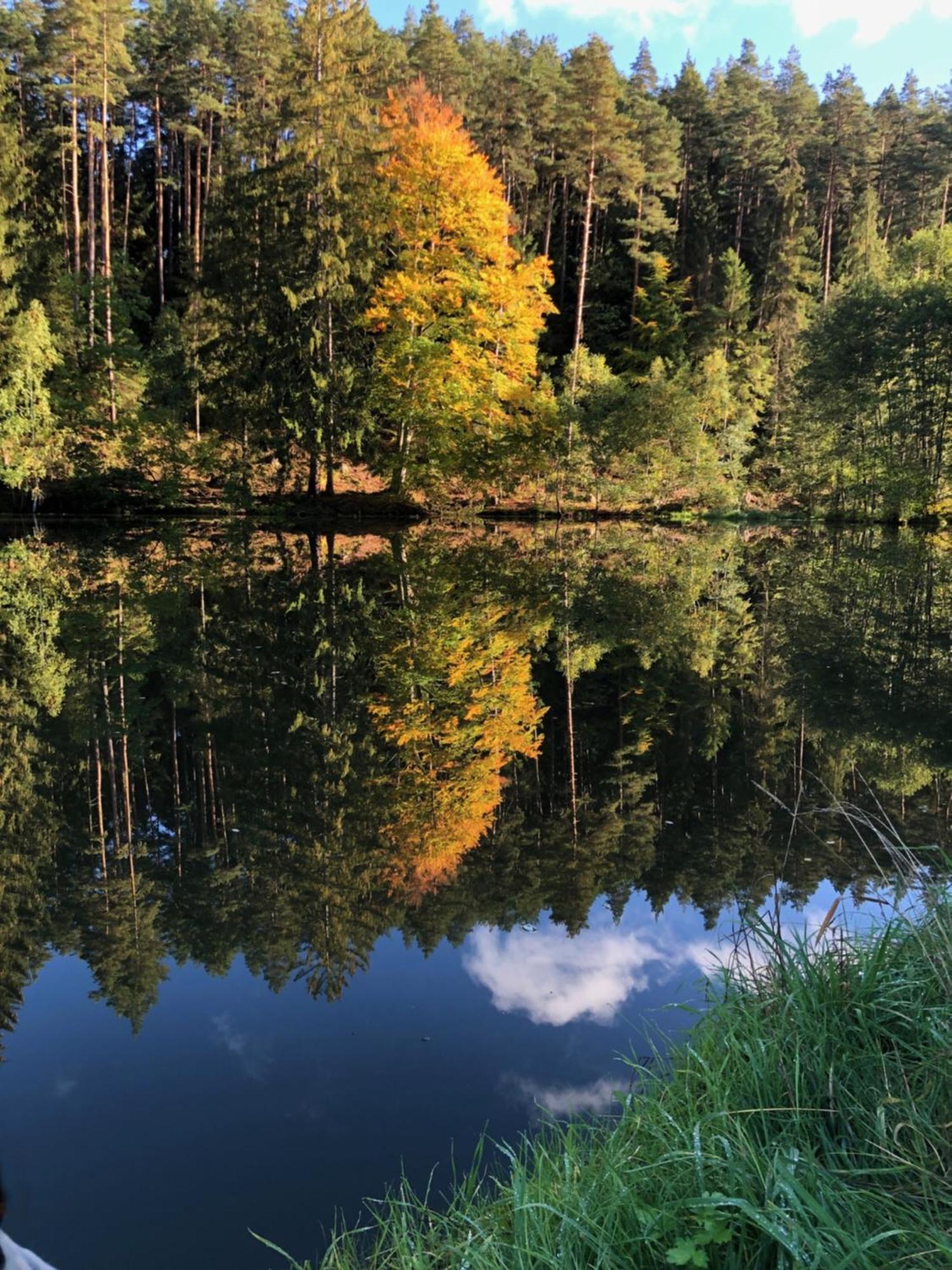 Waldhotel Linzmuehle Kahla  Exteriör bild